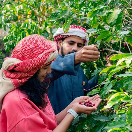 Hike with a local coffee farmer – Recently Added Experiences JUZN.com Special Offers, Deals & Discounts