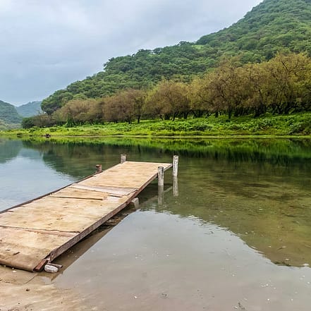 Salalah: Full-Day Beach Escapade Hidden Beach & Rakyut Beach – Recently Added Experiences JUZN.com Special Offers, Deals & Discounts