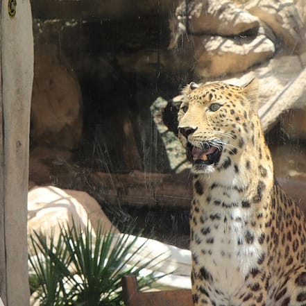 Emirates Park Zoo – Experiences JUZN.com Special Offers, Deals & Discounts