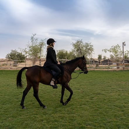 Sunset Horse Riding at Al Marmoom Oasis with a 6-Course Bedouin Dinner – Outdoor Attractions JUZN.com Special Offers, Deals & Discounts