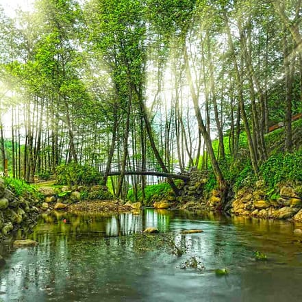 Daily Sapanca and Masukiye Tour: Full-Day Trip From Istanbul – Sightseeing and Tours JUZN.com Special Offers, Deals & Discounts