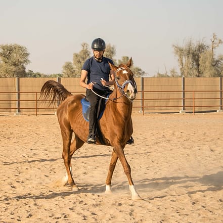 Horse Riding At Mleiha Arena – Sports Events JUZN.com Special Offers, Deals & Discounts