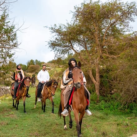 Horse Riding Experience – Recently Added Experiences JUZN.com Special Offers, Deals & Discounts