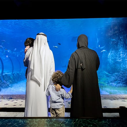The National Aquarium Abu Dhabi – Experiences JUZN.com Special Offers, Deals & Discounts