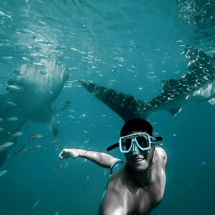 Private group Boating Experience with Dolphins Watching & Snorkeling – Sightseeing and Tours JUZN.com Special Offers, Deals & Discounts