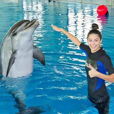 Swimming With Dolphins – Dubai Dolphinarium – Dubai Dolphinarium JUZN.com Special Offers, Deals & Discounts