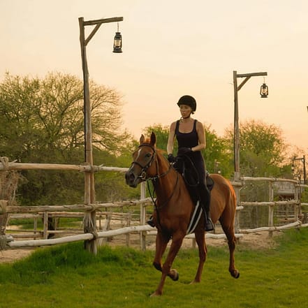 Horse Riding with Open Buffet Dinner & Shows – Desert safaris JUZN.com Special Offers, Deals & Discounts