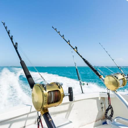 Trolling in Ocean for Big Fish – Top-Rated Attractions JUZN.com Special Offers, Deals & Discounts