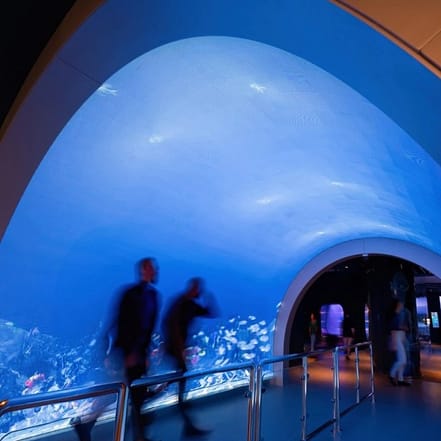 Marassi Aquarium & Underwater Zoo Tickets – Top-Rated Attractions JUZN.com Special Offers, Deals & Discounts