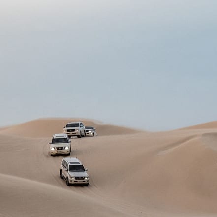 Quickie to the Desert – Sightseeing and Tours JUZN.com Special Offers, Deals & Discounts