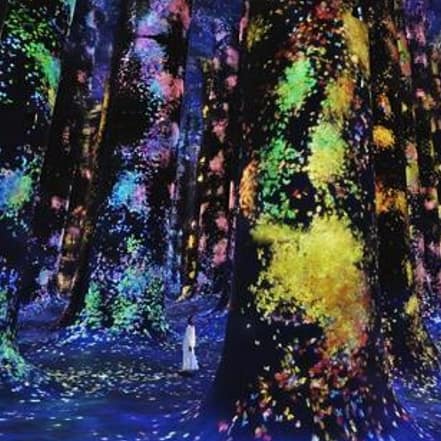 TeamLab Phenomena + Qasr Al Watan – Combo – Recently Added Experiences JUZN.com Special Offers, Deals & Discounts