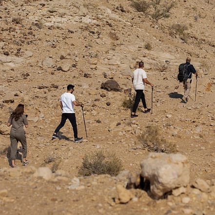Jebel Buhais Tour – Top-Rated Attractions JUZN.com Special Offers, Deals & Discounts