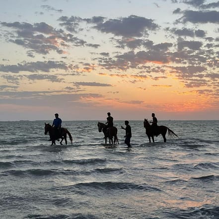 Horse Riding in Jeddah – Experiences JUZN.com Special Offers, Deals & Discounts