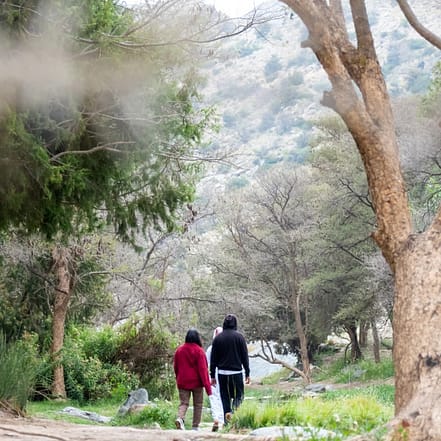 In Hike to the Ain Jamal Waterfall – Recently Added Experiences JUZN.com Special Offers, Deals & Discounts