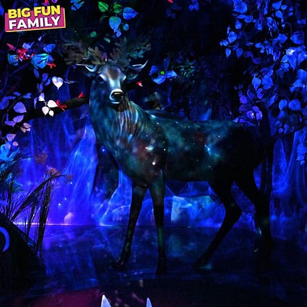Big Fun Museum – Top-Rated Attractions JUZN.com Special Offers, Deals & Discounts