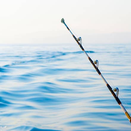 Private fishing boat tour – Sightseeing and Tours JUZN.com Special Offers, Deals & Discounts
