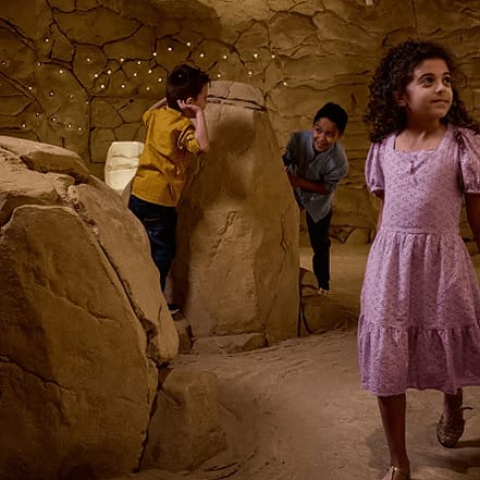 Discover the National Museum of Qatar – Must-see attractions JUZN.com Special Offers, Deals & Discounts