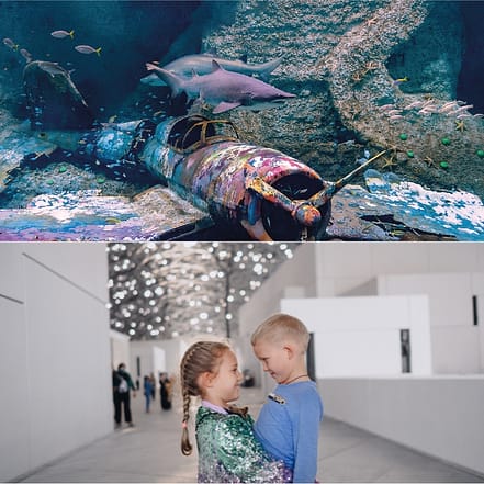 The National Aquarium + Louvre Abu Dhabi – Combo – Combos and more adventures JUZN.com Special Offers, Deals & Discounts