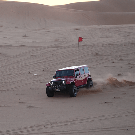 Storm adventure – Safari trip – Top-Rated Attractions JUZN.com Special Offers, Deals & Discounts