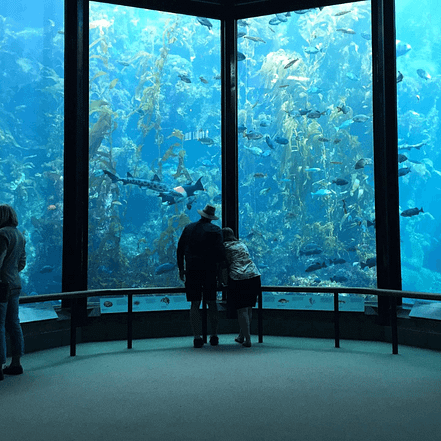 Oman Aquarium – Experiences JUZN.com Special Offers, Deals & Discounts