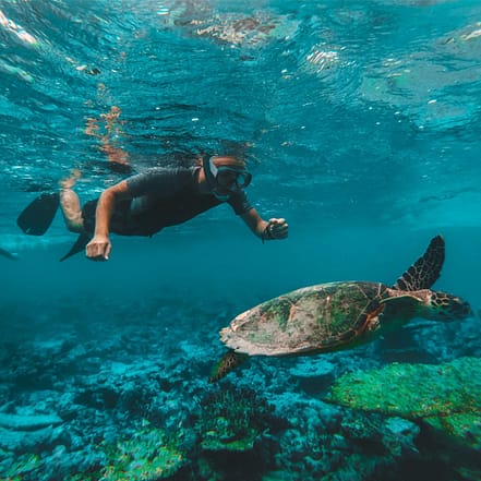 Dive & Snorkel Trips in Fujairah – Water Sports JUZN.com Special Offers, Deals & Discounts