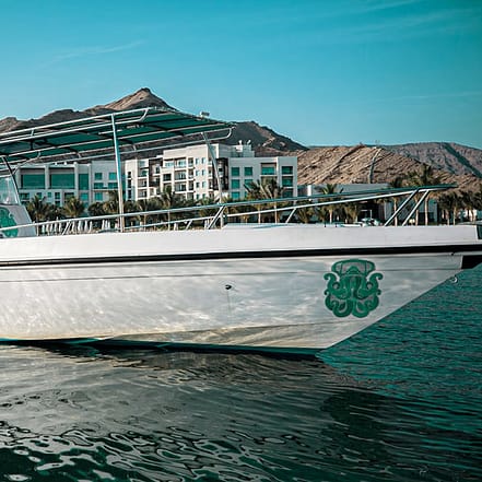Exclusive Boating Experience – Dolphins Watching – Sightseeing and Tours JUZN.com Special Offers, Deals & Discounts