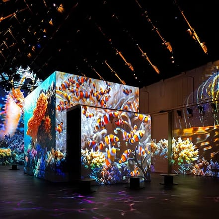 Fabrique des Lumières: The Sea – Recently Added Experiences JUZN.com Special Offers, Deals & Discounts