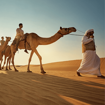 Camel Trekking Experience In Abu Dhabi With Transfers In Land Cruiser – Top-Rated Attractions JUZN.com Special Offers, Deals & Discounts