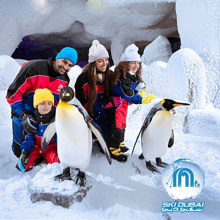 Ski Dubai: Snow Premium with Penguin Encounter – Must-see attractions JUZN.com Special Offers, Deals & Discounts