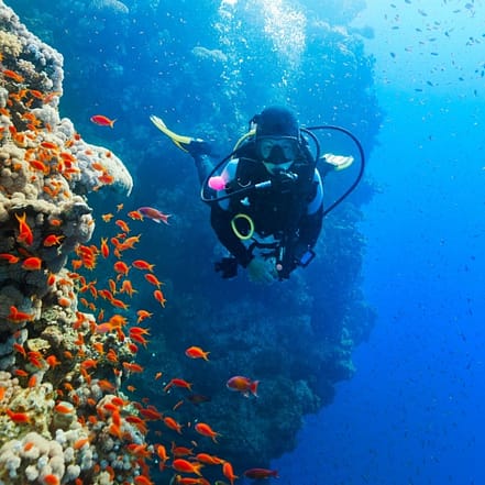 Diving Experience in Khasab – Outdoor Attractions JUZN.com Special Offers, Deals & Discounts