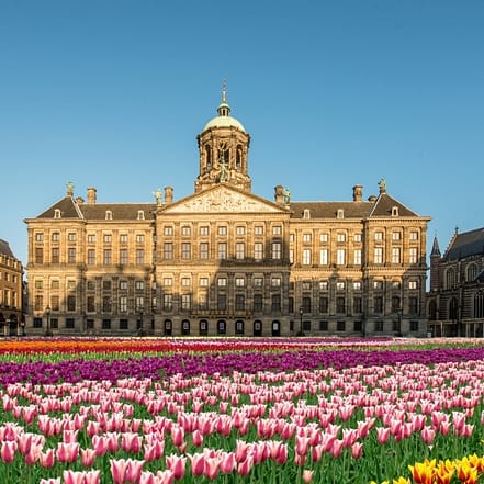 Royal Palace Amsterdam (Koninklijk Paleis): Entry Ticket – Recently Added Experiences JUZN.com Special Offers, Deals & Discounts