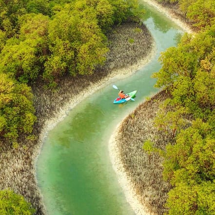 Guided Kayak Tour in the Reem Central Park Mangroves – Water Sports JUZN.com Special Offers, Deals & Discounts
