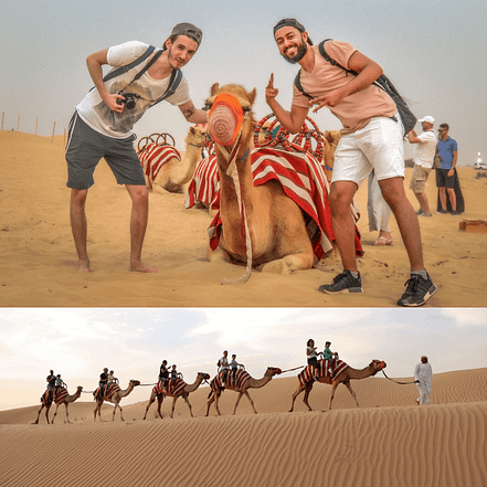 Morning Desert Safari Dubai with Dune Bashing, Sand Boarding & Camel Ride – Desert safaris JUZN.com Special Offers, Deals & Discounts