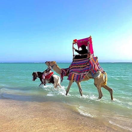 Full Day Obhur & Beach Tour With Transfers – Recently Added Experiences JUZN.com Special Offers, Deals & Discounts