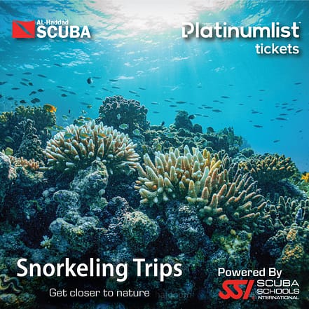 Snorkeling Daily Trips in Jeddah – Attractions Special Offers JUZN.com Special Offers, Deals & Discounts